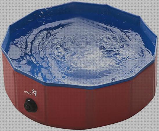 TOP 26 piscinas infantiles cachorros