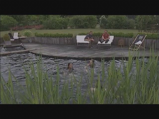 Las 26 Mejores Piscinas Naturales Sin De Plásticos