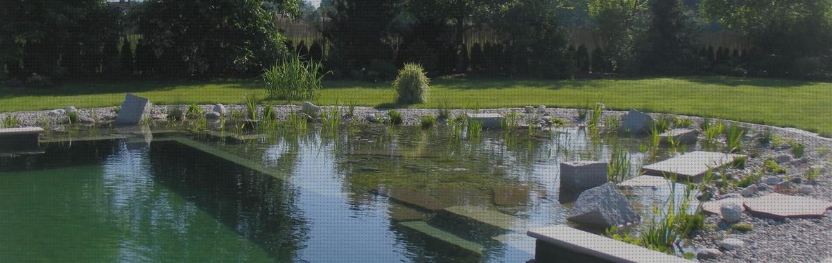 Las mejores marcas de piscinas piscina natural sin plastico