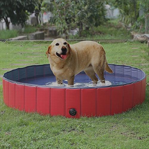 Review de piscina perro 160