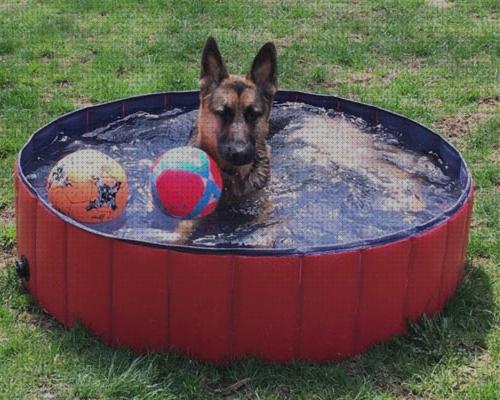 Review de piscina perros