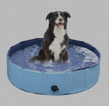 Las 30 Mejores Piscinas Plastic Doog Pool