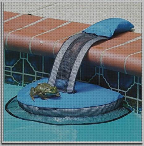 Las mejores marcas de piscinas de acero ofertas piscinas ofertas piscinas piscina rana
