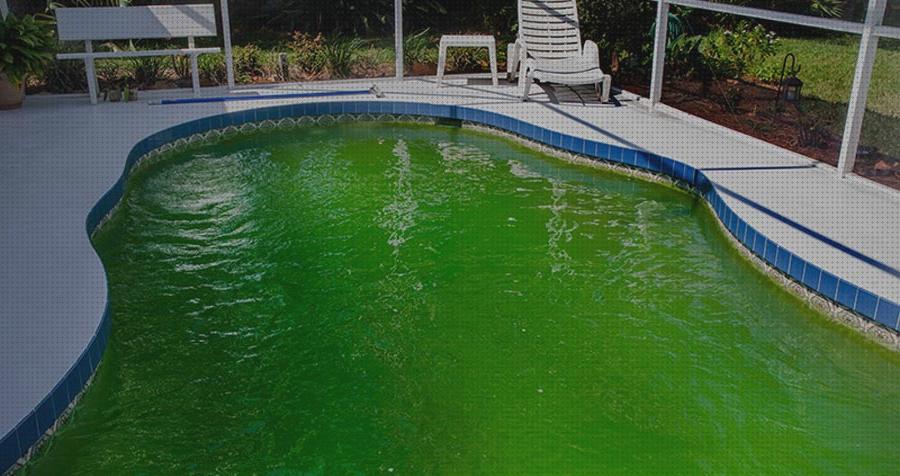 Análisis de las 21 mejores piscinas verdes bajo análisis