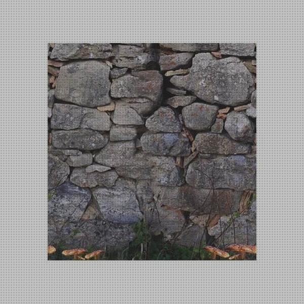 Review de piscinas de piedra desmontables 350