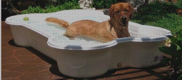 Análisis de las 32 mejores Piscinas De Plásticos Animales