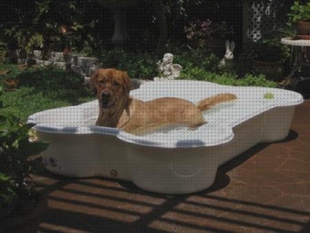 Review de piscinas de plastico animales