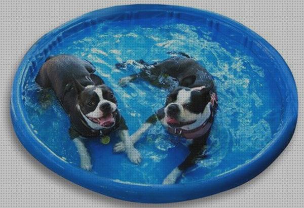 Opiniones de las 23 mejores Piscinas De Plásticos Rígidos Animales