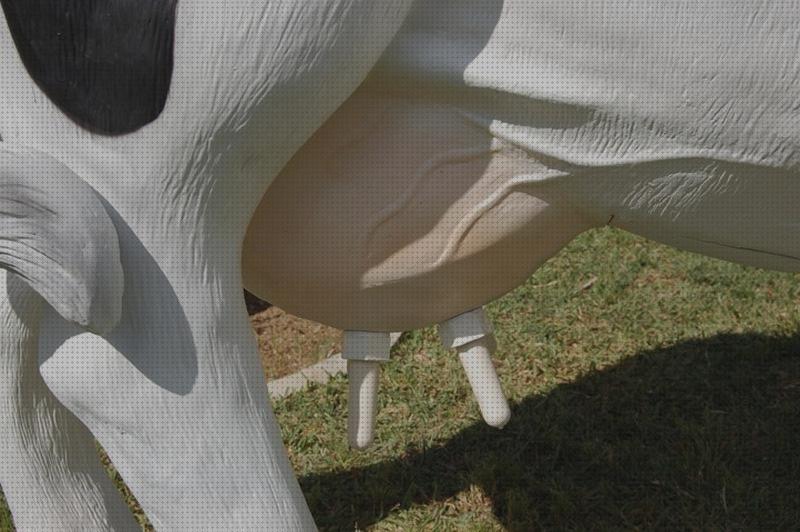¿Dónde poder comprar piscina desmontable de 4x5?