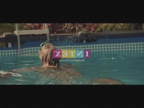 ¿Dónde poder comprar piscinas desmontables duraderas?