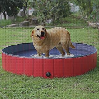 Las mejores perros desmontables piscinas piscinas desmontables interior perros