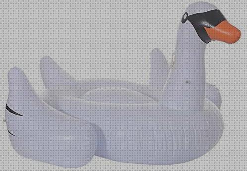 Opiniones de las 17 mejores Piscinas Hinchables Accesorios Blancas Flotando