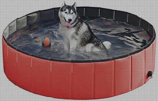 Las mejores 37 Piscinas Hinchables Grandes Alask