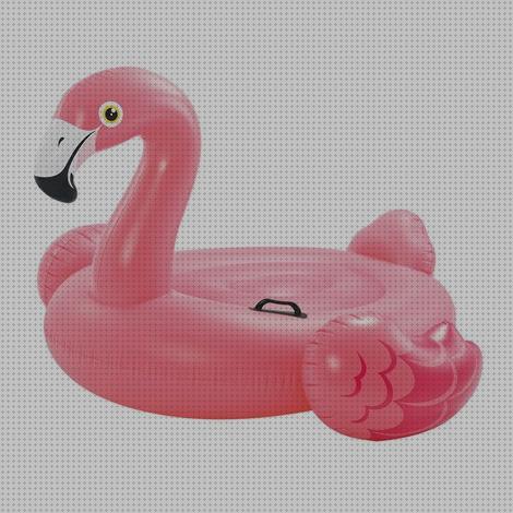 Las mejores marcas de hinchables piscinas piscina hinchable flamenco