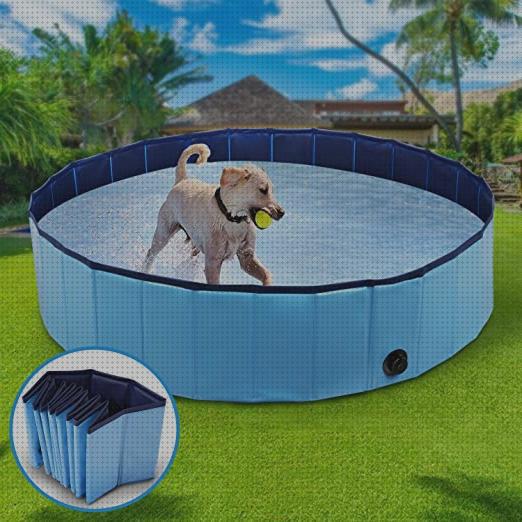 Las mejores piscinas piscinas mascotas