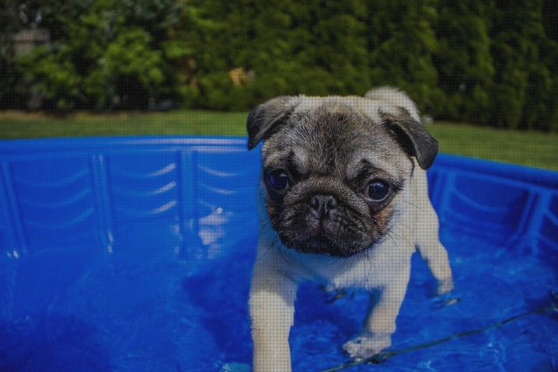Las mejores marcas de rigidas plastico de piscinas rigidas