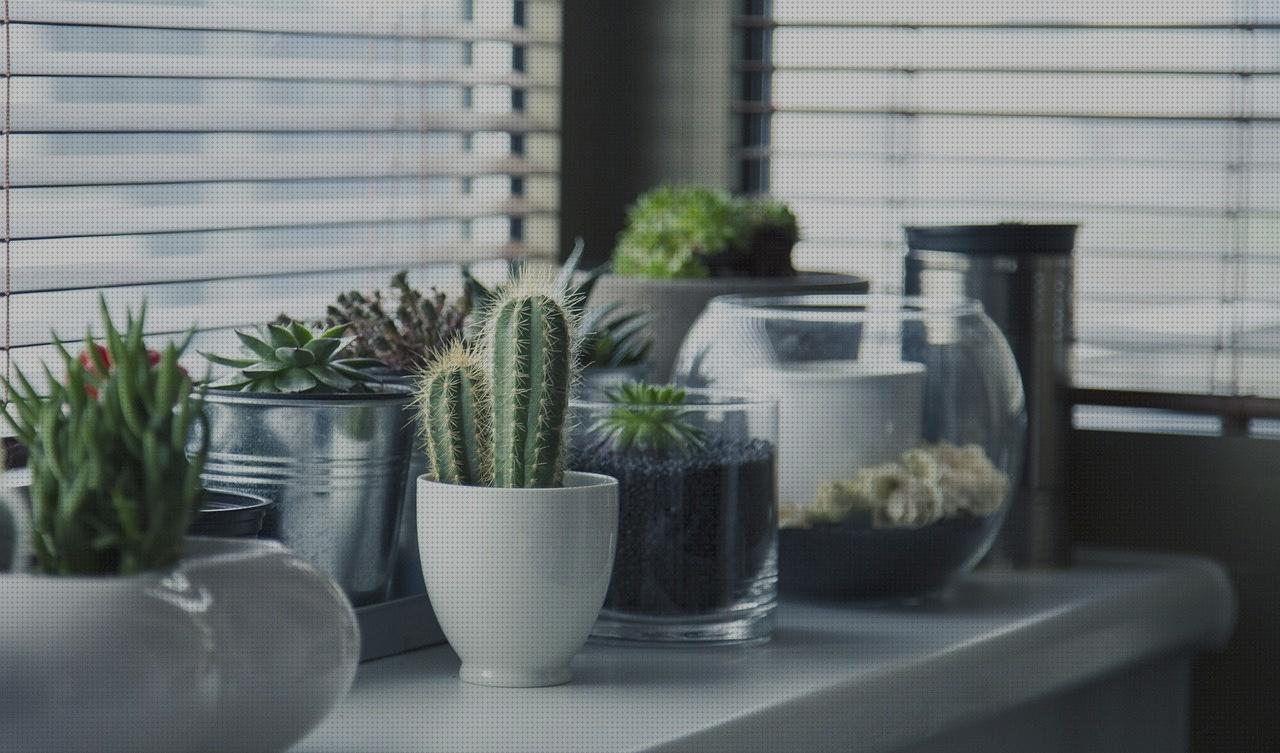 Las 13 Mejores plataformas hinchables bajo análisis