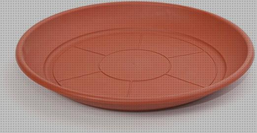 Análisis de los 11 mejores platos macetas