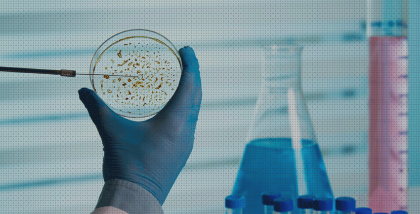 Las mejores marcas de sonda redox nelson turf ez pro jr 8300 riego turf potencial redox microbiologia