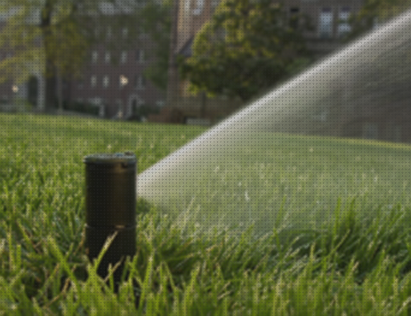 Opiniones de los 22 mejores Nelson Turf Ez Pro Jr 8300 Riego Turf Cultivador De Jardin Rainbird 5000