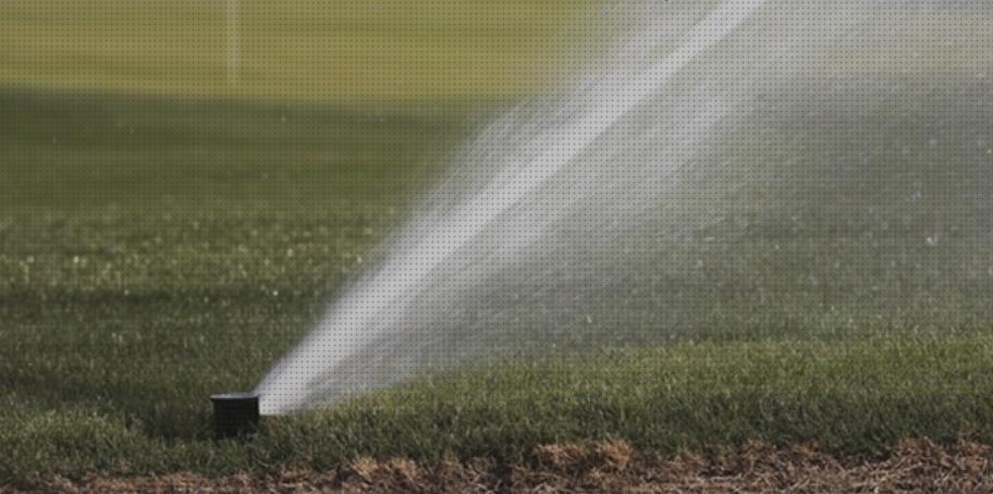 Opiniones de los 31 mejores Nelson Turf Ez Pro Jr 8300 Riego Turf Cultivador De Jardin Rainbird 752