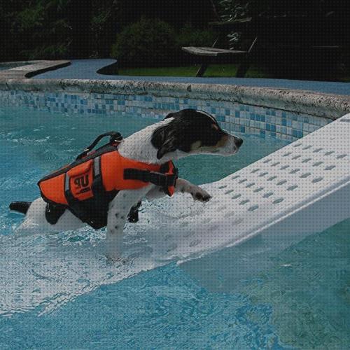 Opiniones de las 16 mejores Rampas Piscinas Desmontables Para Perros