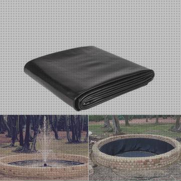 ¿Dónde poder comprar peces red peces piscina?