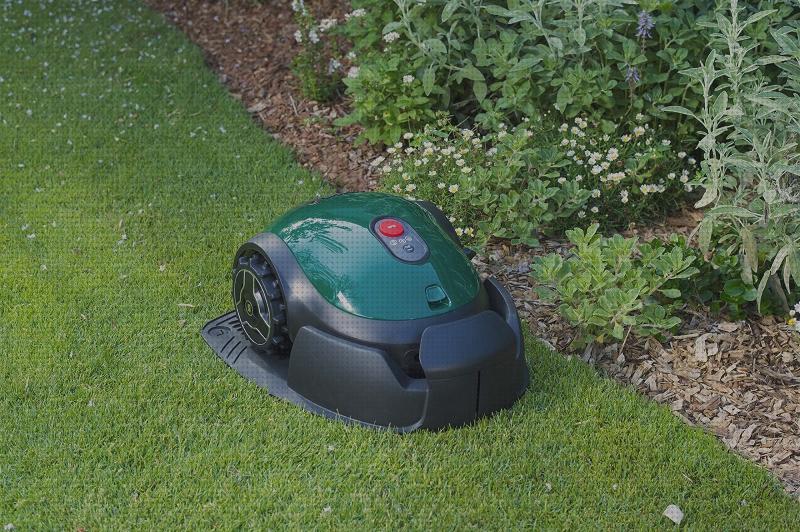 Las mejores cultivador de jardin minus spa jacuzzi exterior roca broadway robot robomow