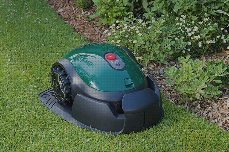 TOP 13 robots robomow