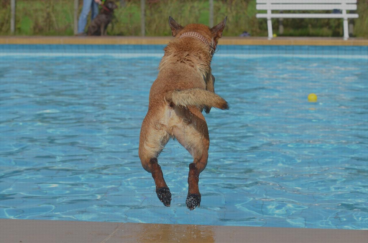 Review de saltos de piscina