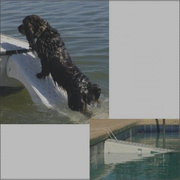¿Dónde poder comprar salvavidas piscina?