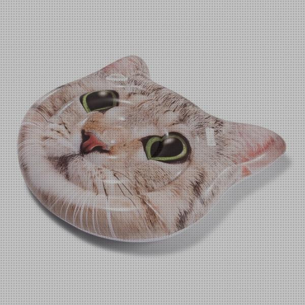 Review de spa hinchable gatos