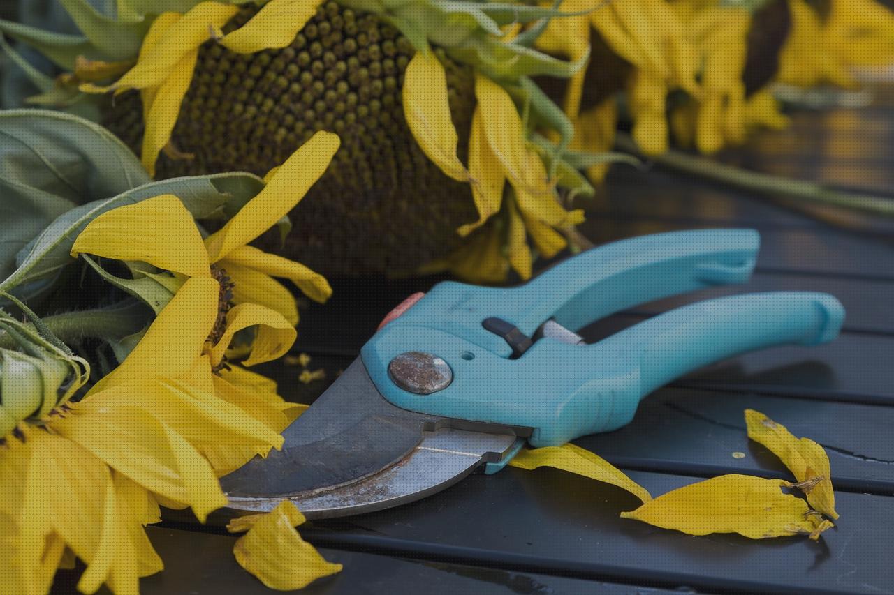 Review de tijeras podar fiskars