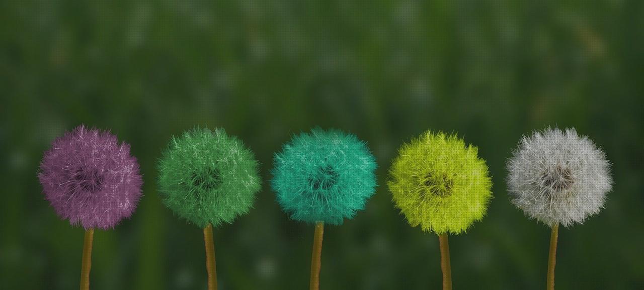 ¿Dónde poder comprar pistola de agua a presion juguete potente pistola agua juguete piscina desmontable rectangular acero 400 x 211 cm transformador piscina?