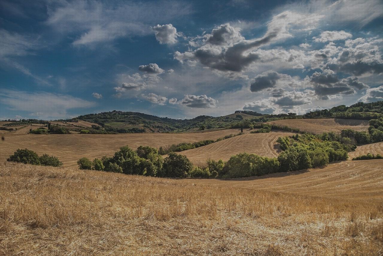 Review de los 9 mejores tuscany evo para comprar