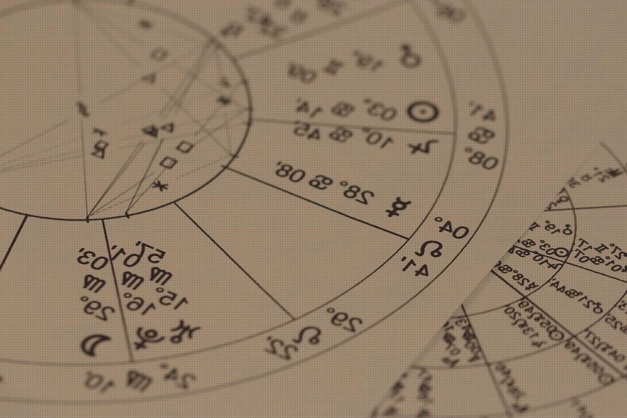 14 Mejores zodiac mx6 bajo análisis
